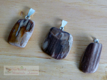 Preview: Versteinertes Holz aus Australien, mit Silberöse, 3 Stück - Unikate (Serie +/- 20)